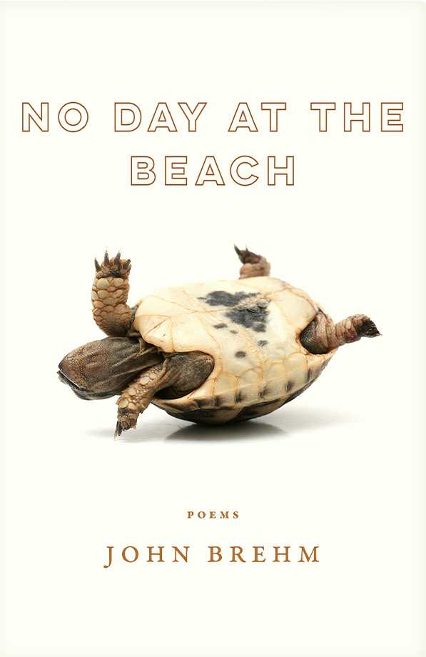 NO DAY AT THE BEACH by John Brehm
